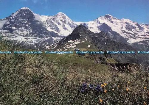 D279134 Mannlichen Eigermönch und Jungfrau Beringer und Pampaluchi