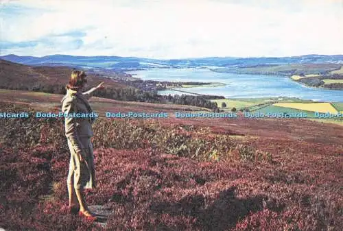 D286076 Easter Ross The Dornoch Firth J Arthur Dixon PM Wick Caithness 1978