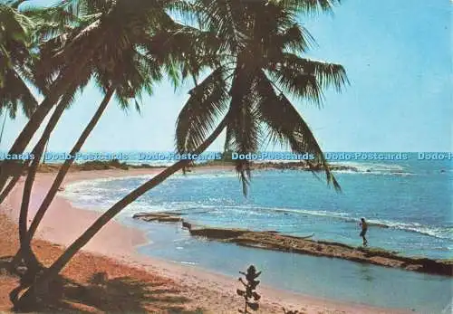 D281556 Strandszene Sri Lanka Lake House Printers and Publishers Ltd J L Morison