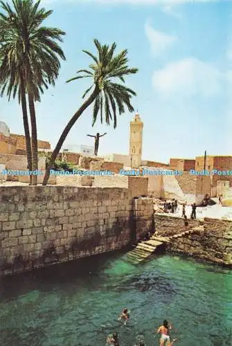 D283891 Gafsa Das römische Schwimmbad Kahia