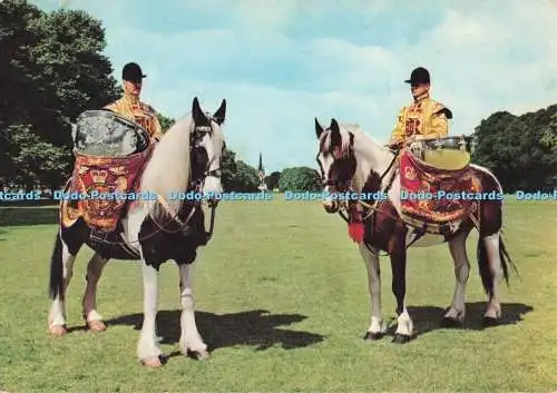 D286134 Die Trommelpferde der Rettungsschwimmer und der Royal Horse Guards Topical Pr