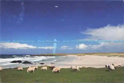 D281615 Schottland Schöne Balevullin Bay auf der Hebrideninsel Tiree Island F