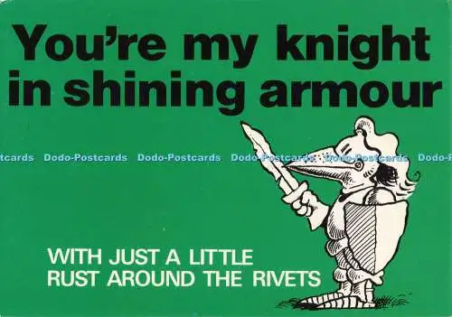 D286158 You re My Knight in Shining Armour Photo Precision St Ives Huntingdon Ca