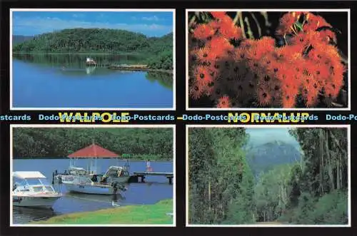 D286177 Wandmast Nornalup The Knoll Walpole Inlet A Rolsh Production Multi View