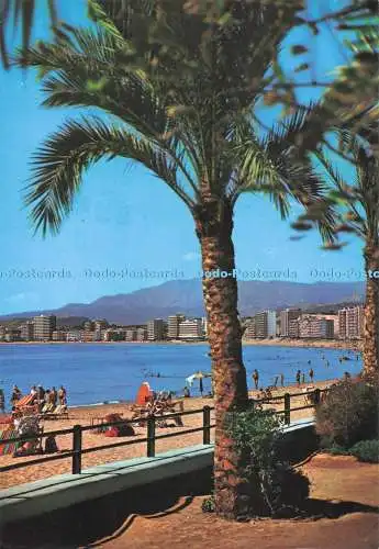 D283956 Benidorm Espana Playa de Poniente Rueck No 128