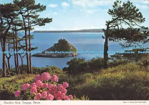 D281666 Devon Torquay Thatchers Rock John Hinde Ltd E Ludwig 1972