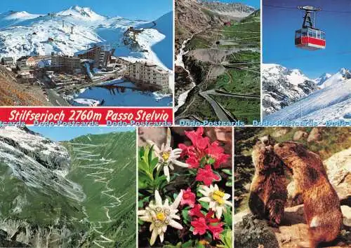 D286195 Stilfserjoch Stilfserjoch Unser Schones Südtirol Foto Dieter Drescher M