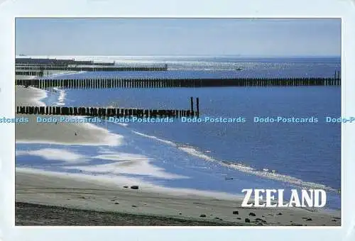 D286196 Zeeland Holland Paper Mill Cards