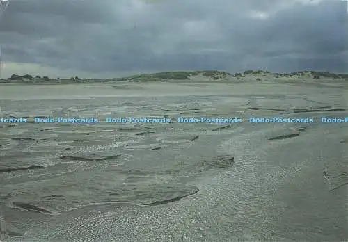 D279286 The Zwin Estuary Neptunus Groep