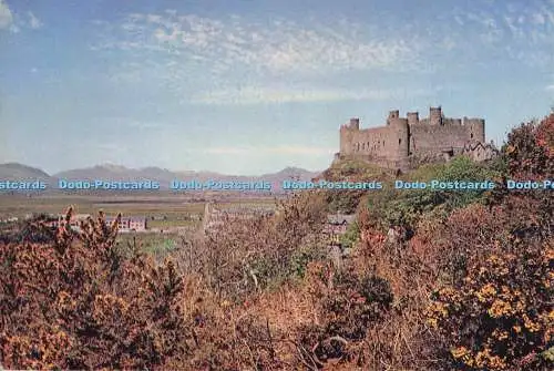 D277086 Harlech Castle Auf einem Felsvorsprung gelegen J Arthur Dixon John R Edwa