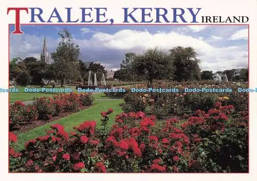 D286205 Irland Tralee Kerry John Hinde Cabinteely Dublin Peter O Toole