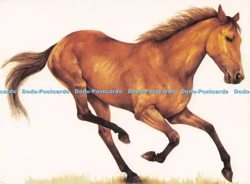 D286252 Laufpferd Athena International London Jan Huston