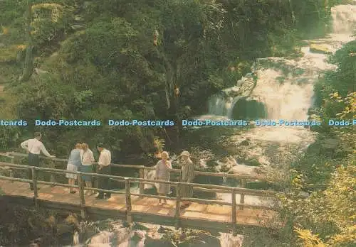 D279375 Lynmouth Watersmeet The Falls J Salmon