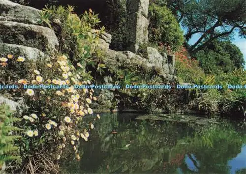 D277184 Isles of Scilly The Gardens at Tresco Beric Tempest F E Gibson