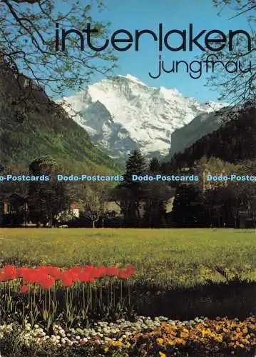 D286357 Interlaken Jungfrau Berner Oberland Wefo