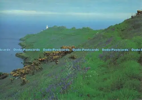 D279477 South Devon Start Point The Devonshire Press Coast Karten Clare Pawley 19