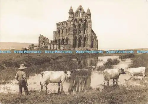 D277280 Whitby Abbey The Sutcliffe Gallery Duotone Reproduktion Bemrose P L C Fr