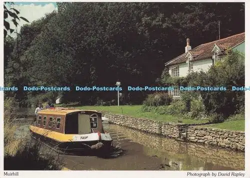 D277281 Muirhill Der friedliche Kennet und Avon Canal Richter David Rapley