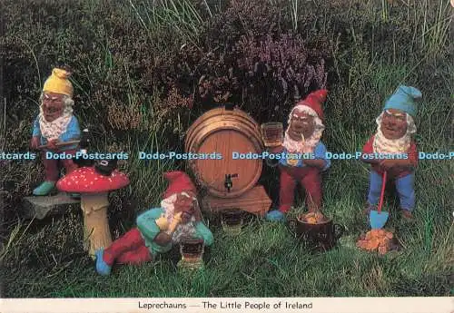 D286413 Kobolde The Little People of Ireland Cardall Dublin