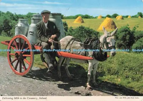 D281918 Irland Lieferung von Milch an die Milchkännchen John Hinde Ltd Joan Willis 1968
