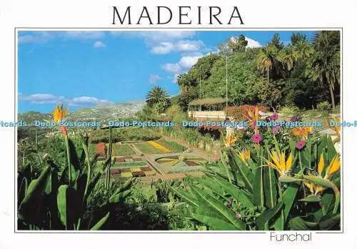 D284231 Madeira Funchal Ein Blick auf den Botanischen Garten Hans Huber F Ribeiro 1999