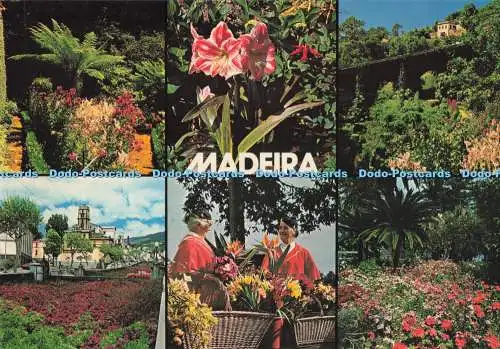 D284241 Madeira Blumen Madeira Hans Huber F Ribeiro Multi View