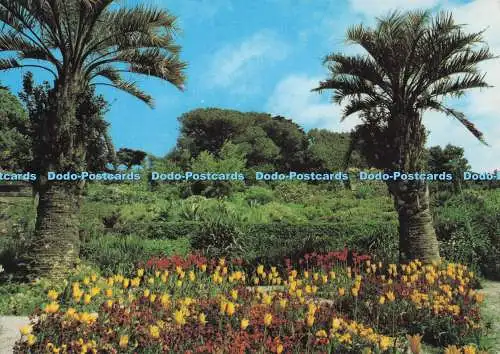 D286528 Isle of Scilly The Gardens at Tresco F E Gibson Beric Tempest and Co Ltd