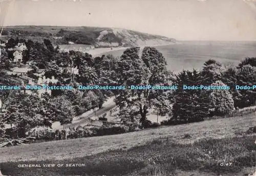 D277422 Gesamtansicht von Seaton Postkarte