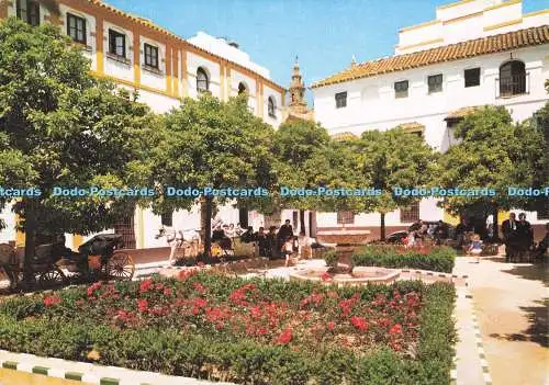 D286550 Sevilla The Dona Elvira Square Arribas Zaragoza
