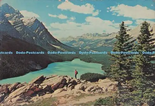 D277448 Peyto Lake im Columbia Ice Fields Gebiet von Kanada Rocky Mountain J H