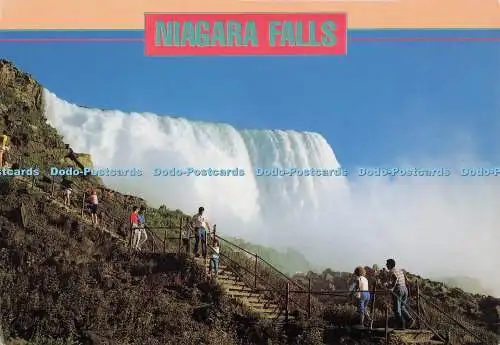 D277526 Niagarafälle Die American Falls von der Lower Gorge aus gesehen Most Marri