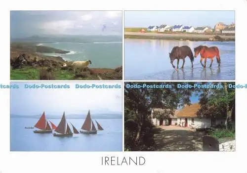 D284421 Greetings from Ireland Insight Cards Ltd Peter Zoller Multi View