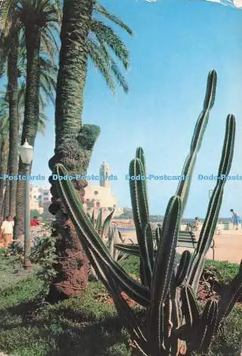 D286661 Sitges Gärten an der maritimen Promenade A Campana y J Puig Ferran Postales