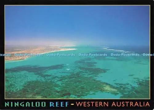 D282139 Western Australia Kingaloo Reef Davric Australia Ltd Instant Reaction Po