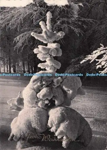D286695 Frohe Weihnachten Horn