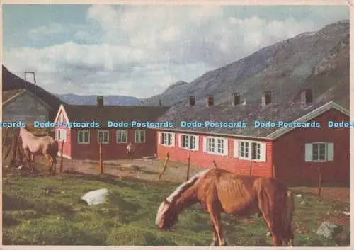 D277573 Norge Jotunheimen Ved Skogadalsboen P P I Eberh B Oppi