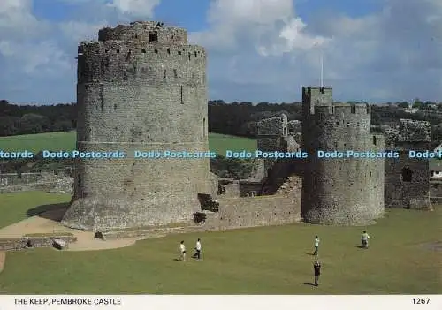 D277613 Pembroke Castle The Keep Pembrokeshire Eye Postkarten Haven Farbdruck