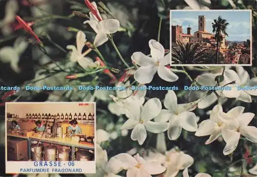 D277636 Grasse Parfumerie Fragonard La Cathedrale Le Jasmin Visitez Les Usines F