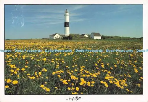 D282305 Auf Sylt Impressionen Kampener Leuchtturm im Mai Eiland Hans Jessel 1991