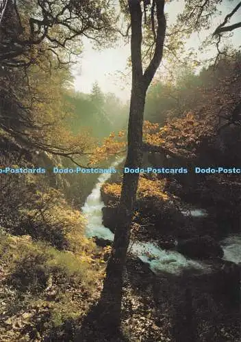 D282330 Gwynedd Conwy Falls near Betws y Coed J Arthur Dixon Ltd 1988