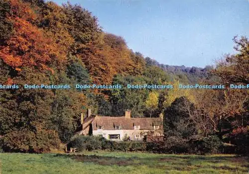 D284620 Hampshire Selborne Dorton Cottage and the Beeches of the Lyth J Arthur D