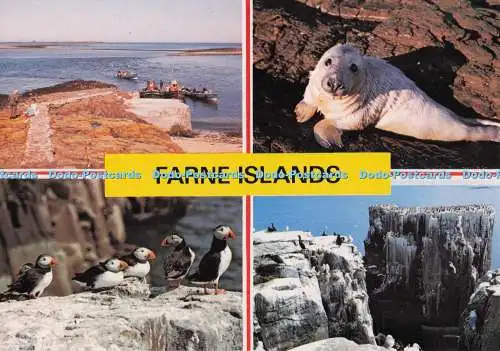 D277740 Farne Islands Inner Farne J Arthur Dixon Multi View