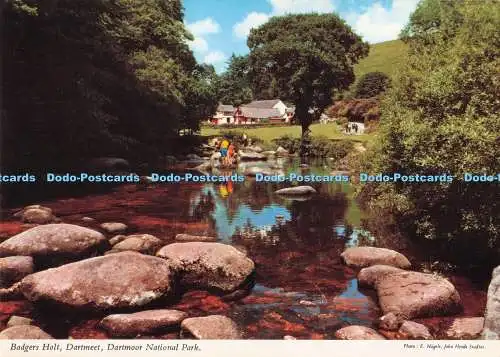 D284632 Dartmoor National Park Dartmeet Badgers Holt John Hinde Ltd E Nagele
