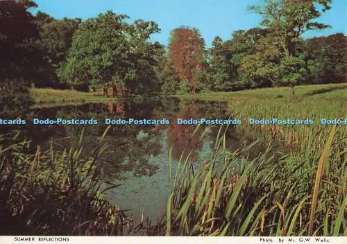 D284649 Summer Reflections Kesteven Federation of Women Institutes Judges Ltd Ha