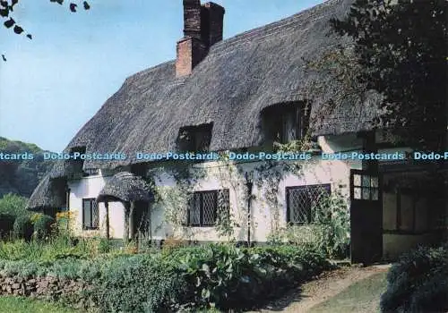 D284660 Selborne Hampshire Reetgedeckter Charm in Gracious Street J Arthur Dixon Ltd