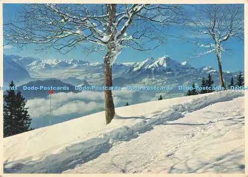 D282376 Rigi Kaltbad am Kanzeliweg Engadin Presse AG V Keller 1964