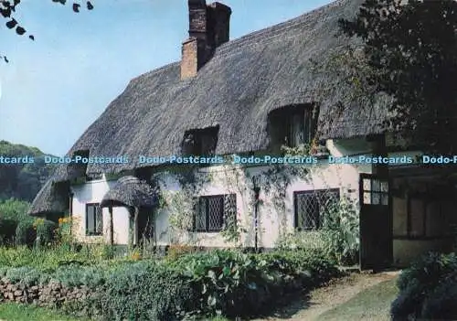 D284663 Selborne Hampshire Reetgedeckter Charm in Gracious Street J Arthur Dixon Ltd