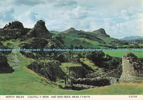 D286905 North Wales Castell y Bere and Bird Rock near Tywyn Judges Limited C 475