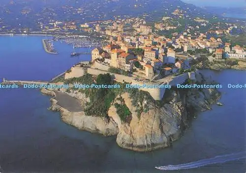 D277792 Calvi Souvenir de Corse Sarl Desjobert