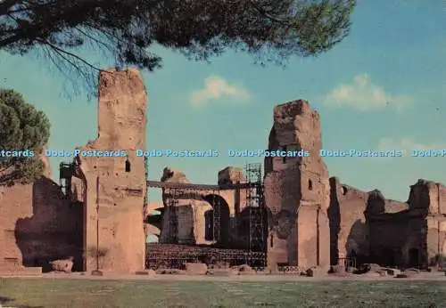 D277795 Roma Terme di CaracallaFotorapidacolor RP
